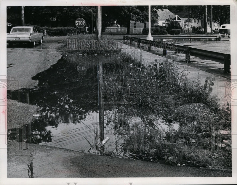 Load image into Gallery viewer, 1967 Press Photo Weeds Growing &amp; Trash on Roadside, Mentor, Ohio - nee99773
