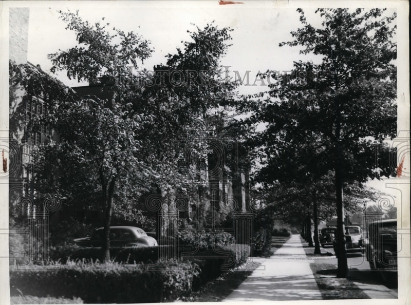Load image into Gallery viewer, 1939 Press Photo Trees around apartment buildings - nef00170
