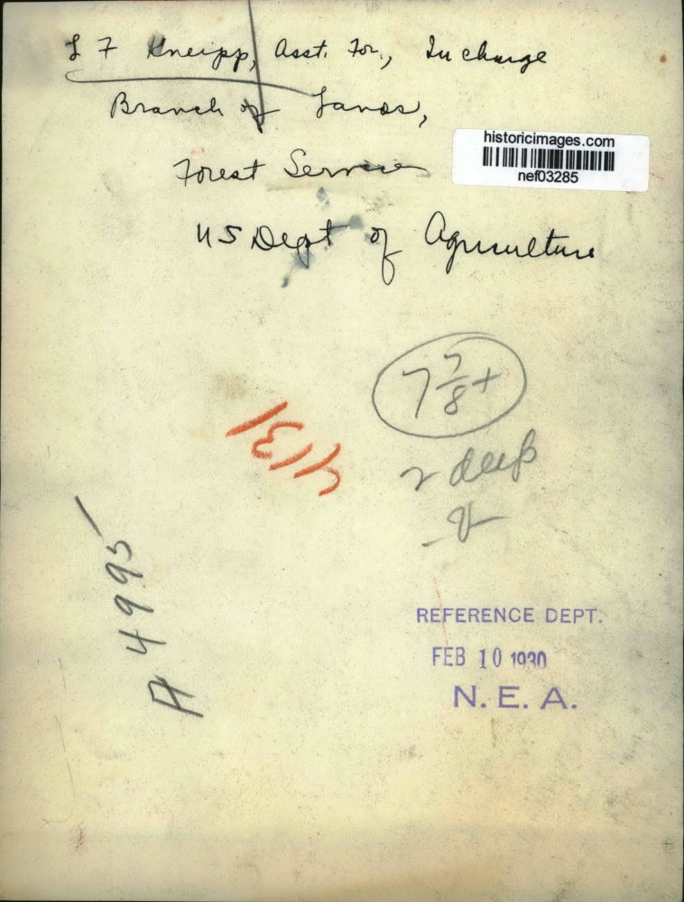 1930 Press Photo LZ Gnipp Head of Forest Service US Department of Agriculture