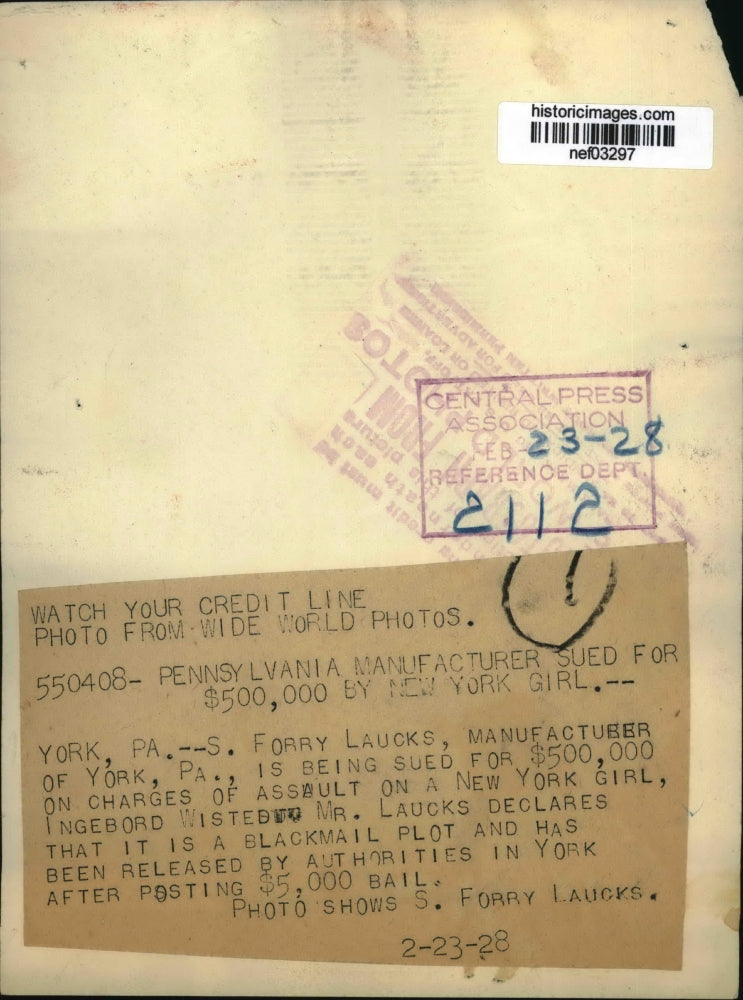 Load image into Gallery viewer, 1928 Press Photo Manufacturer Forry Laucks sued for $500000 for assault
