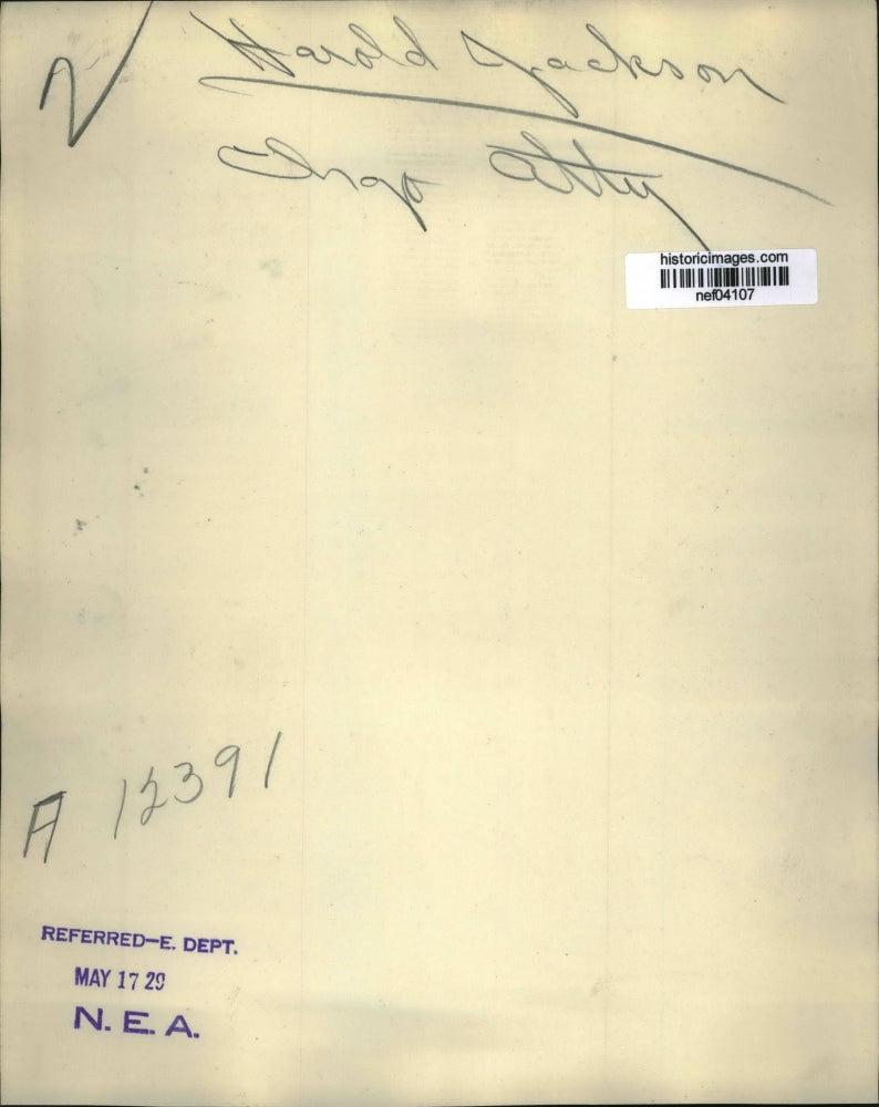 1929 Press Photo Chicago Attorney Harold Jackson - nef04107