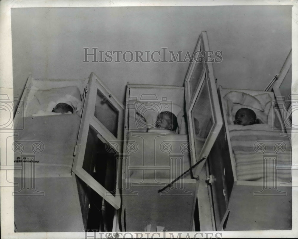 1942 Press Photo Verwer triplets two boys and a girl - nef04255