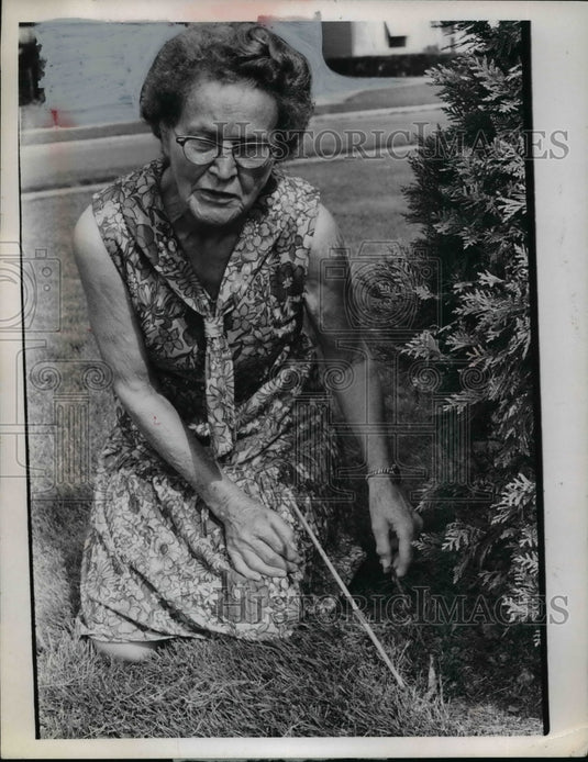 Press Photo Mrs. Imhoff of Euchlid, Ohio - nef04794