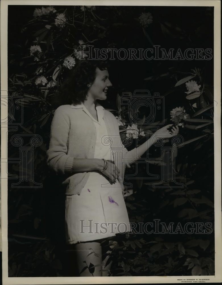 Load image into Gallery viewer, 1948 Press Photo Blossom season for West Virginia Rhododendron - nef05065
