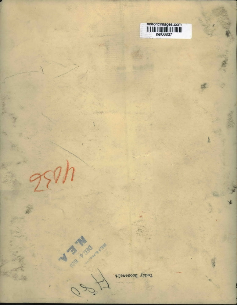 1926 Press Photo Theodore Roosevelt, Jr. - nef06837