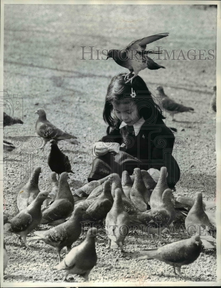 1975 Press Photo Weather warms up the pigeons at Tokyo Japan - nef06934