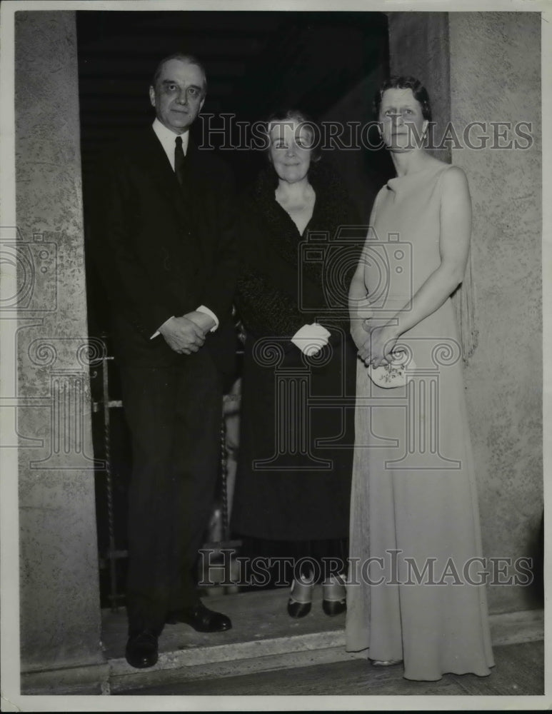 1933 Press Photo Industrialist Owen D. Young - nef07019