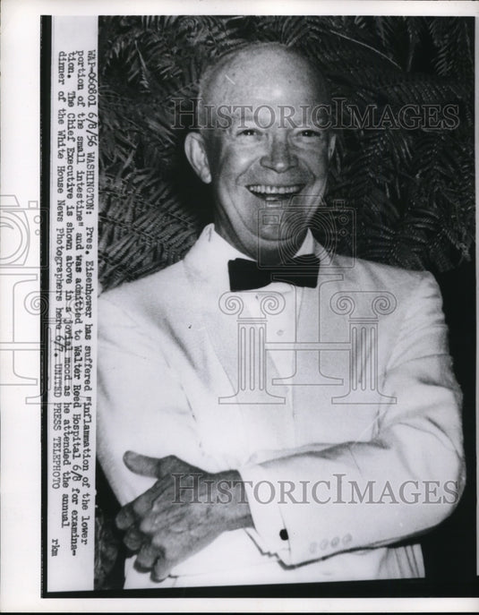 1956 Press Photo Eisenhower at annual dinner of White House News Photogaphers- Historic Images