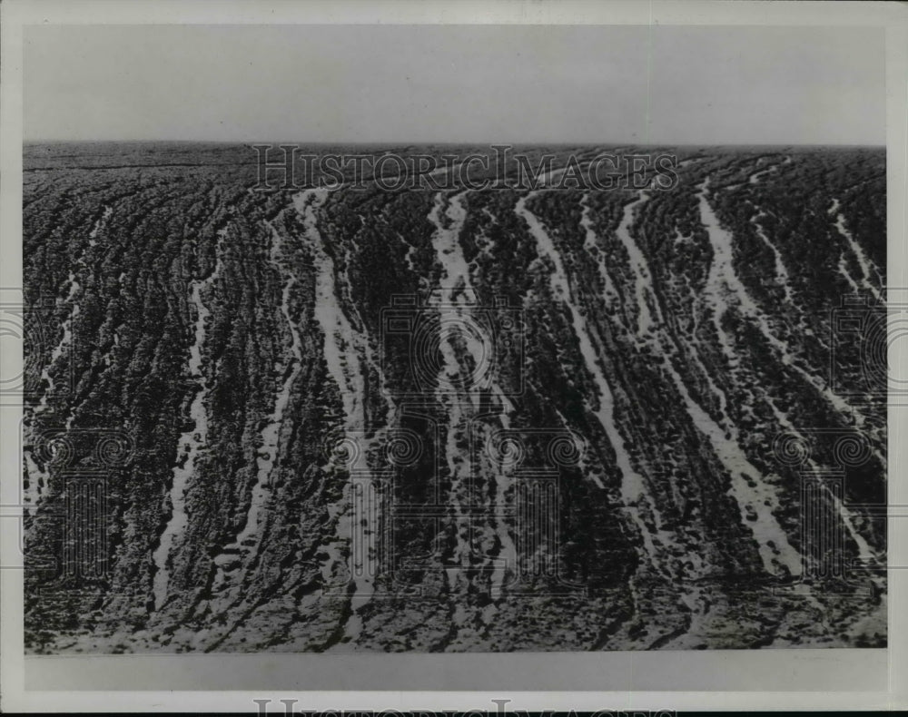 1935 Press Photo Straight Furrows plus one torrential rain open up Avenue Ruins