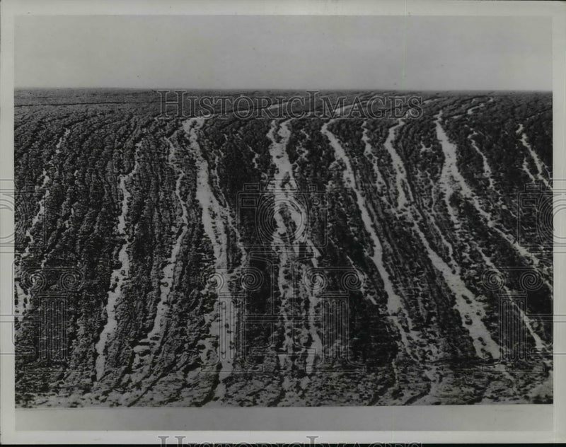 Load image into Gallery viewer, 1935 Press Photo Straight Furrows plus one torrential rain open up Avenue Ruins
