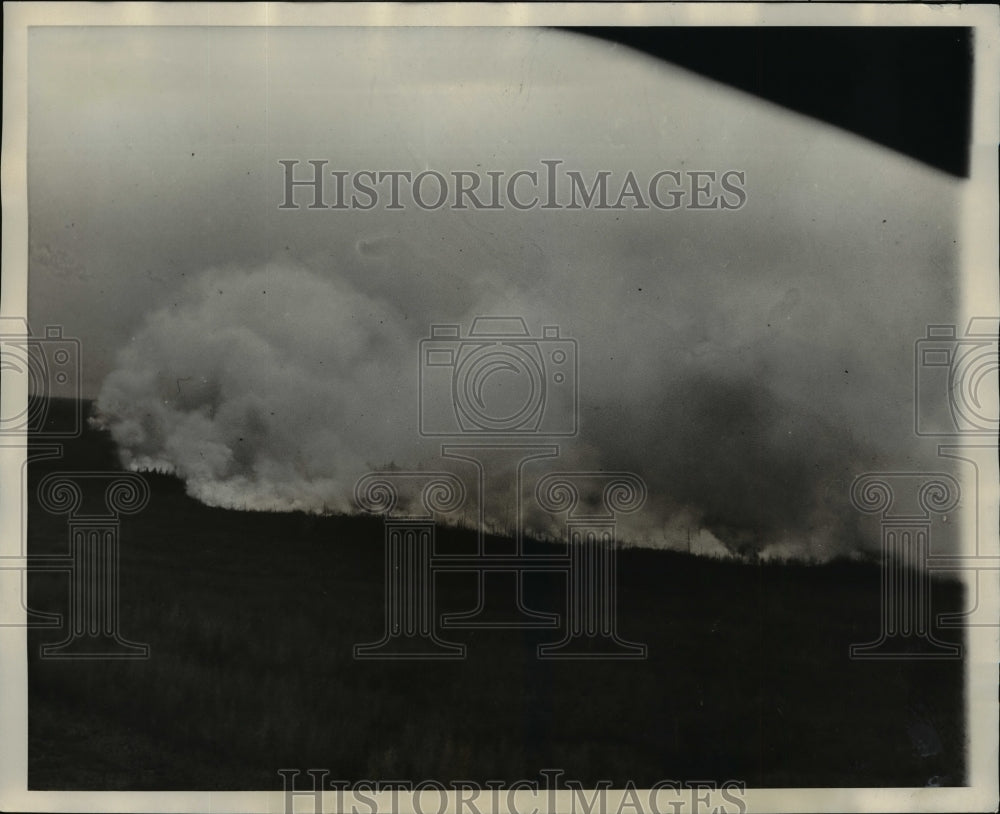 1931 Press Photo Hundreds Of Men Battle Fires That Are Eating Through Forests