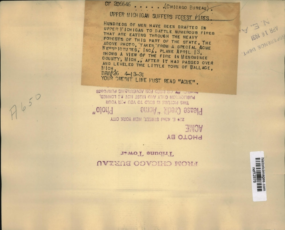 1931 Press Photo Hundreds Of Men Battle Fires That Are Eating Through Forests