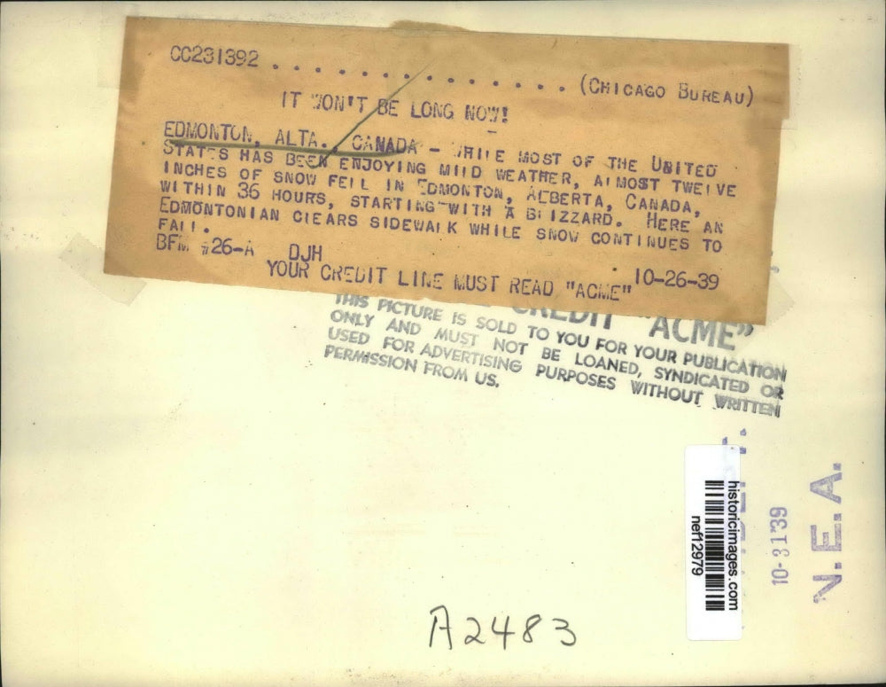 1939 Press Photo Edmontonian clears sidewalk while snow continues to fall