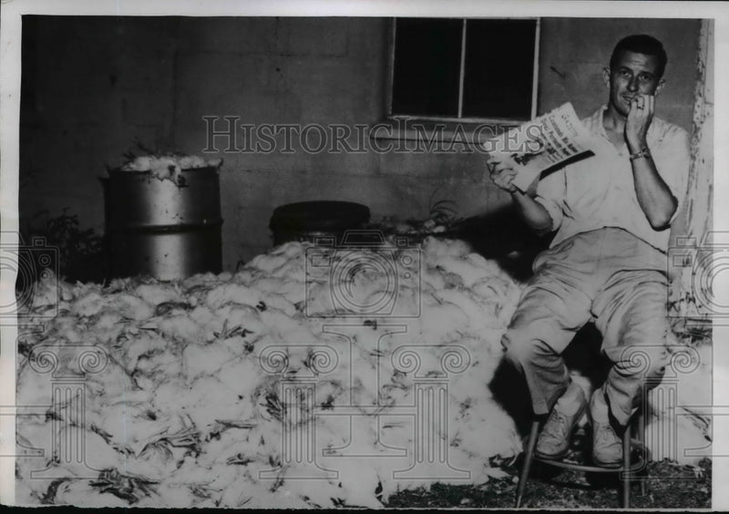 Load image into Gallery viewer, 1955 Press Photo Indiana Farmer &amp; 1500 Chickens Dead After Hot Weather
