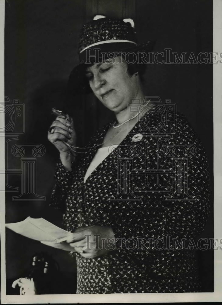 1932 Press Photo Mrs.Jesse W. Nicholson, Pres. of Natl. Women Democrat Law