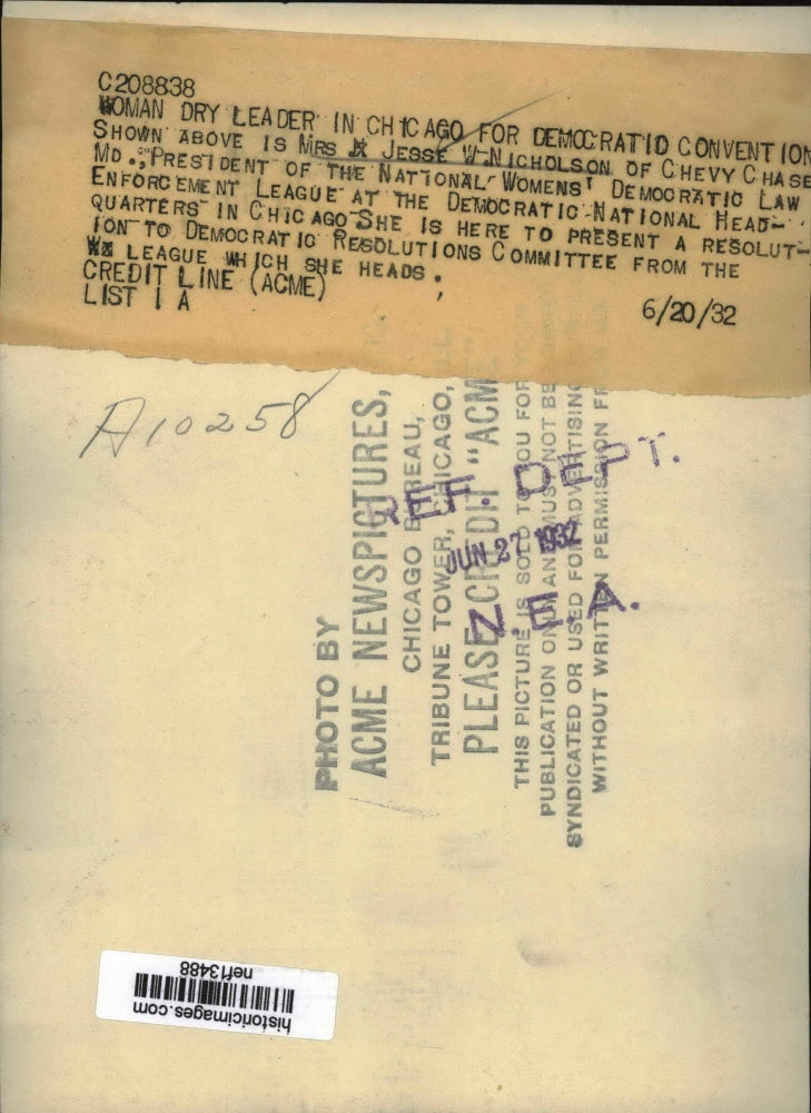 1932 Press Photo Mrs.Jesse W. Nicholson, Pres. of Natl. Women Democrat Law