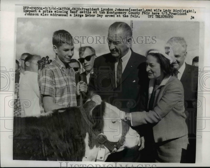 Load image into Gallery viewer, 1966 Press Photo Pres and Mrs Johnson Inspect Prize Winning Beef Cattle At Fair
