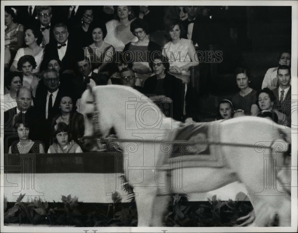 1964 Press Photo Lady Bird Johnson at Lipizzaner Horse Show - nef14307