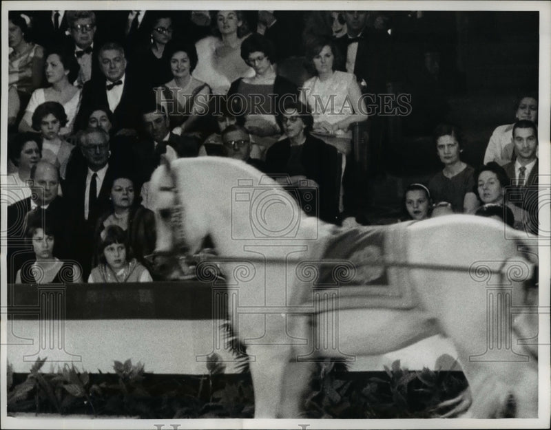 Load image into Gallery viewer, 1964 Press Photo Lady Bird Johnson at Lipizzaner Horse Show - nef14307
