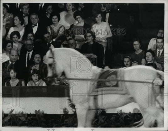 1964 Press Photo Lady Bird Johnson at Lipizzaner Horse Show - nef14307