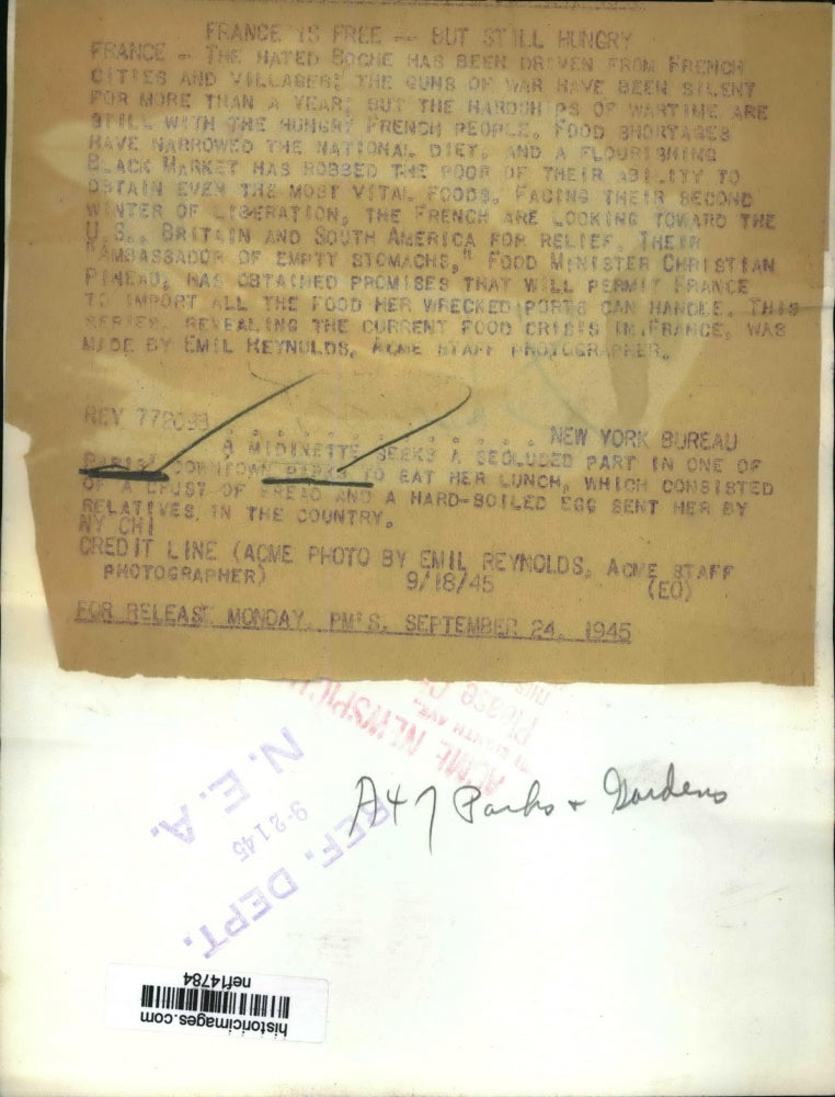 1945 Press Photo Midinette seeks a secluded area in park to eat her lunch