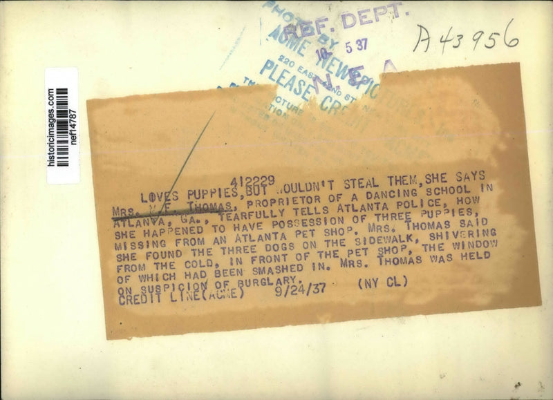 Load image into Gallery viewer, 1937 Press Photo M.F. Thomas held on suspicion burglary of puppies - nef14787

