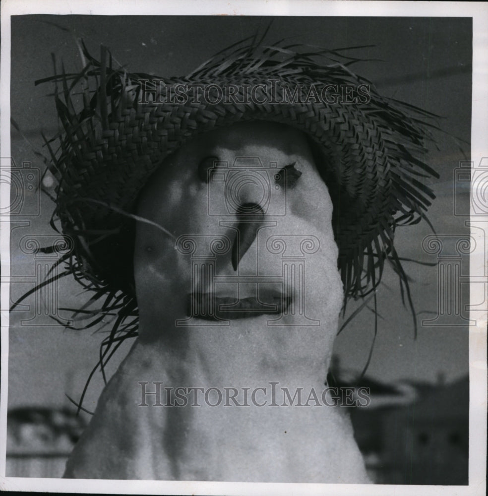 1960 Press Photo Melting Snowman Face in Great Falls, Montana - nef16372