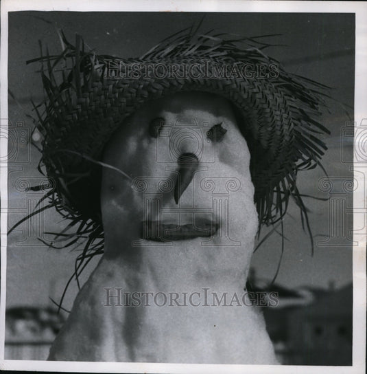 1960 Press Photo Melting Snowman Face in Great Falls, Montana - nef16372