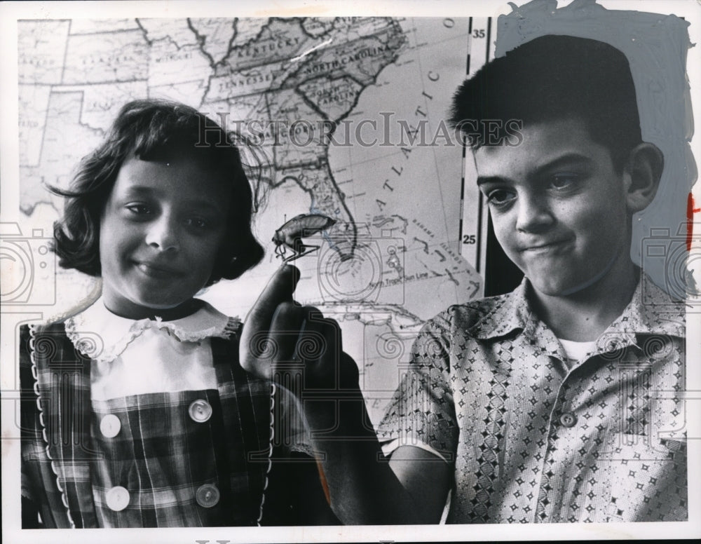 1961 Press Photo 5th Graders Look at Grasshopper, Watterson School, Ohio