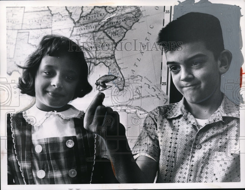 Load image into Gallery viewer, 1961 Press Photo 5th Graders Look at Grasshopper, Watterson School, Ohio
