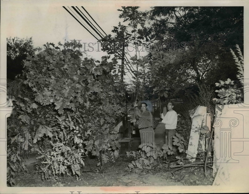 Load image into Gallery viewer, 1960 Press Photo Independence Kiwanis - nef19800
