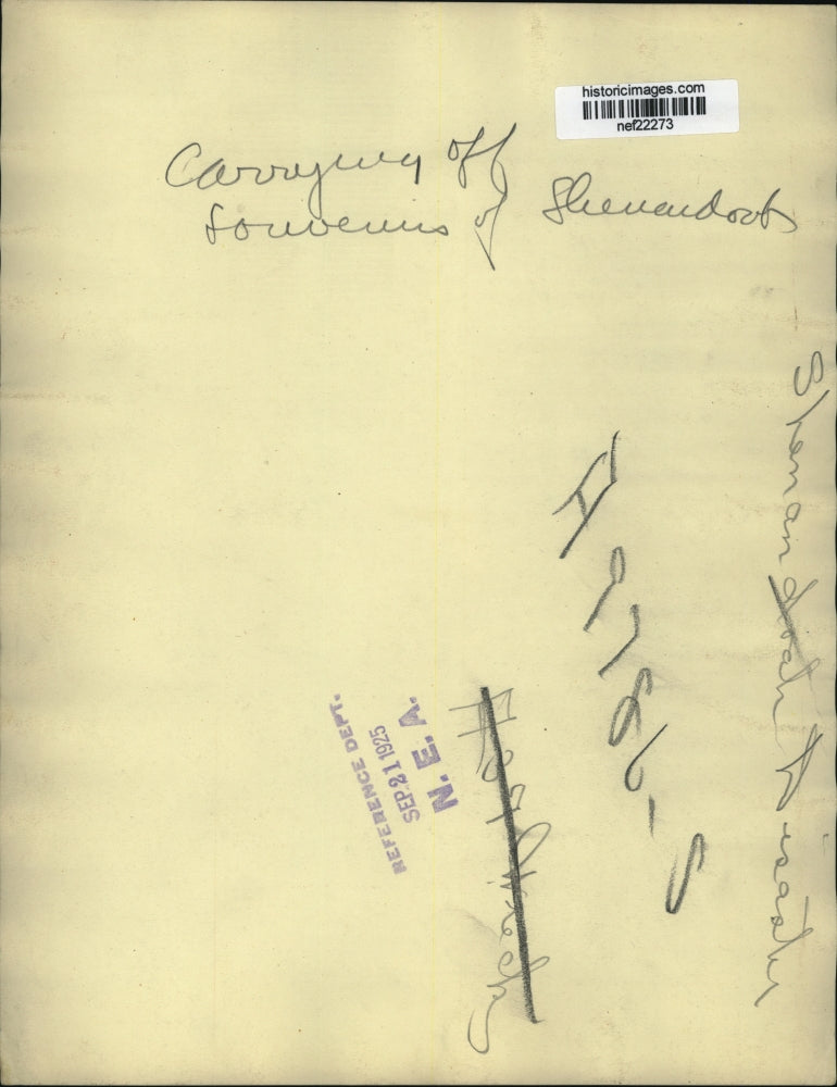 1925 Press Photo Carrying Off Souvenirs of Disaster - nef22273