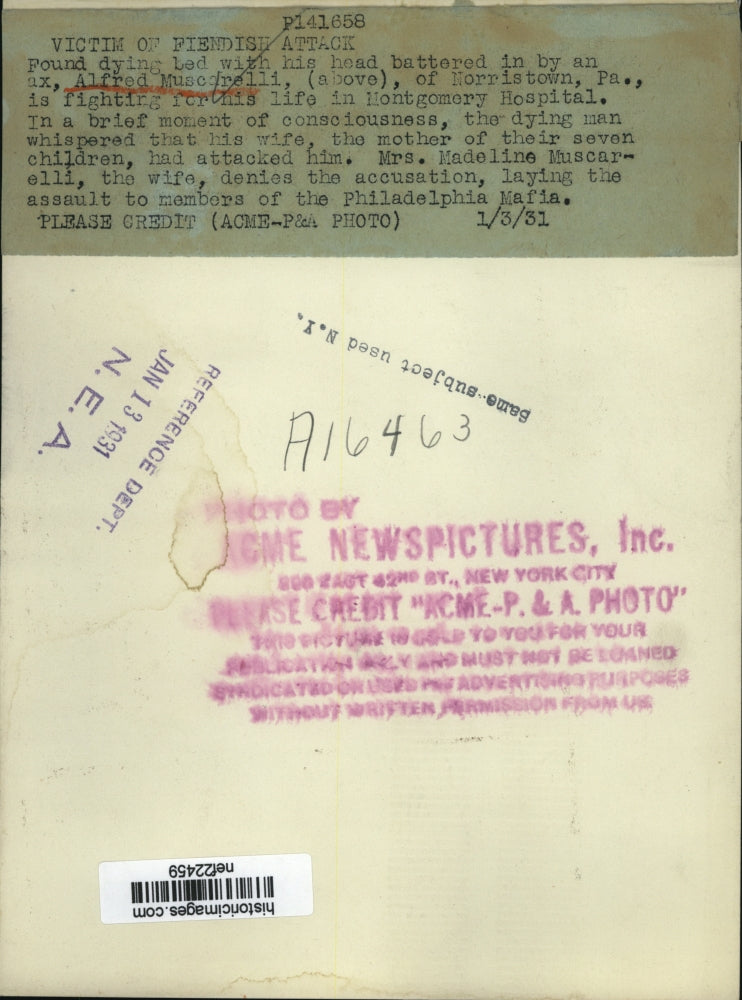 1931 Press Photo Alfred Muscarelli - nef22459