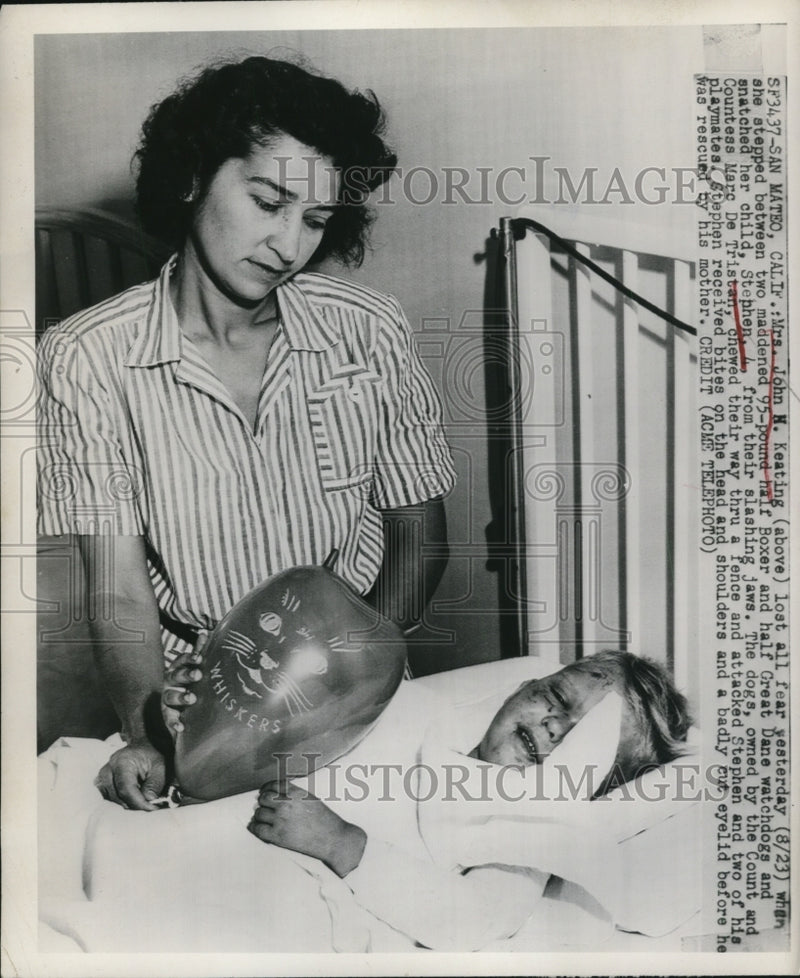Load image into Gallery viewer, 1949 Press Photo Mrs. John M. Keating, Son Stephen After Dog Attack, California
