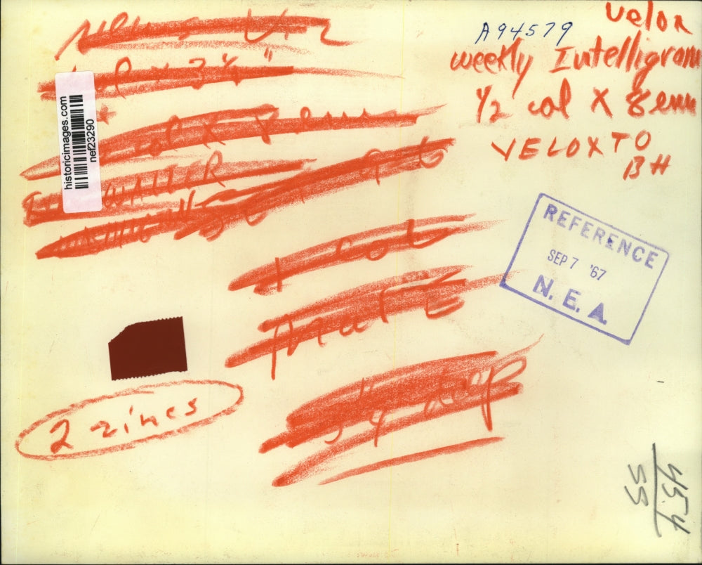 1967 Press Photo Lyndon B. Johnson, Walter E. Washington - nef23290