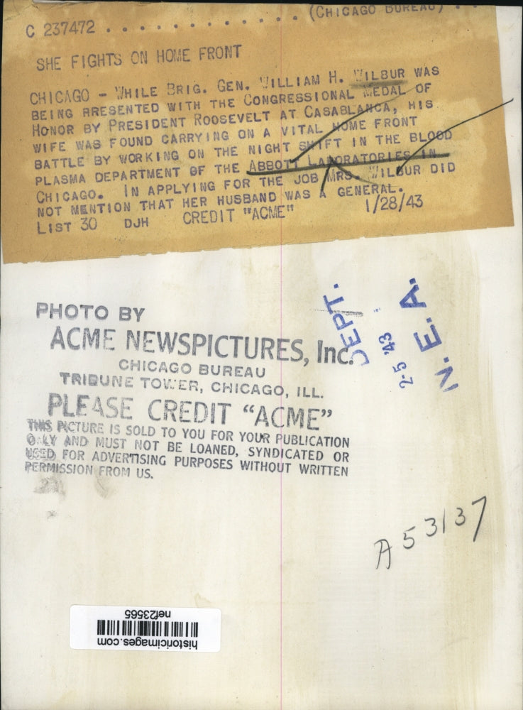 1943 Press Photo Wife of William H. Wilbur Worksat Abbott Laboratories Chicago