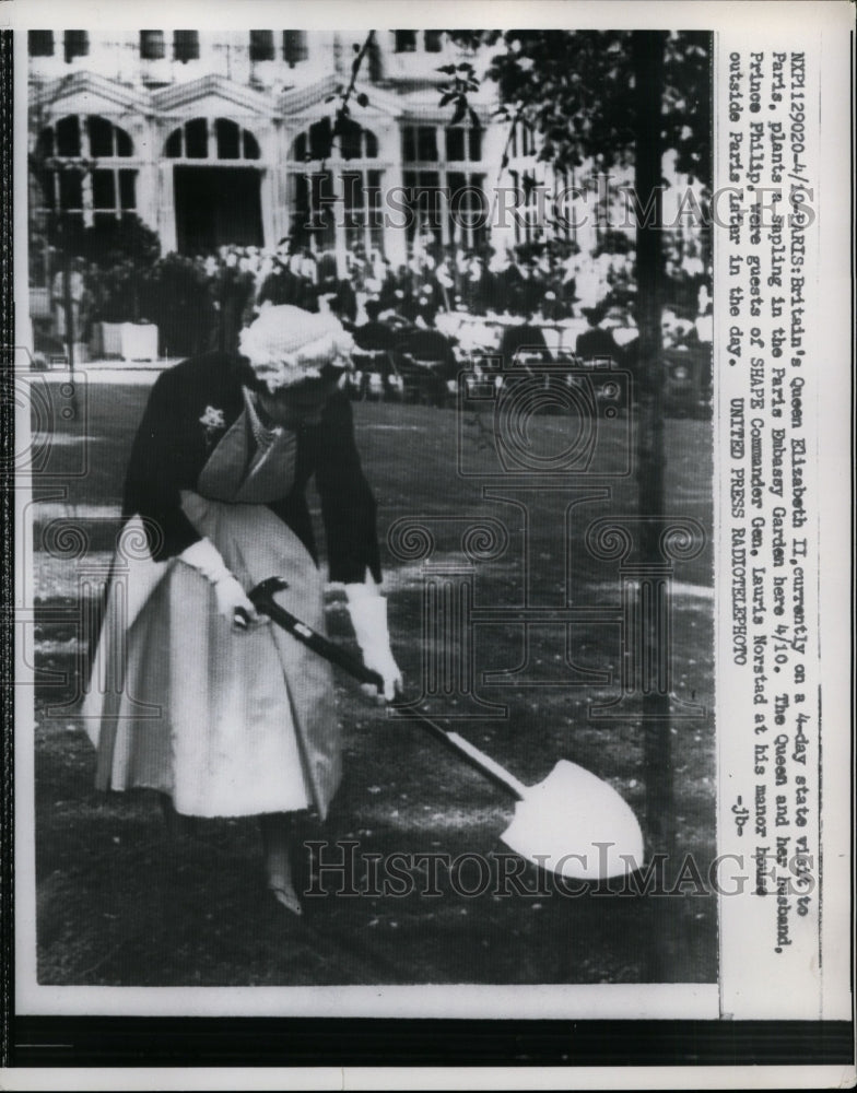 1957 Press Photo Queen Elizabeth planting a sapling in the Paris Embassy garden- Historic Images