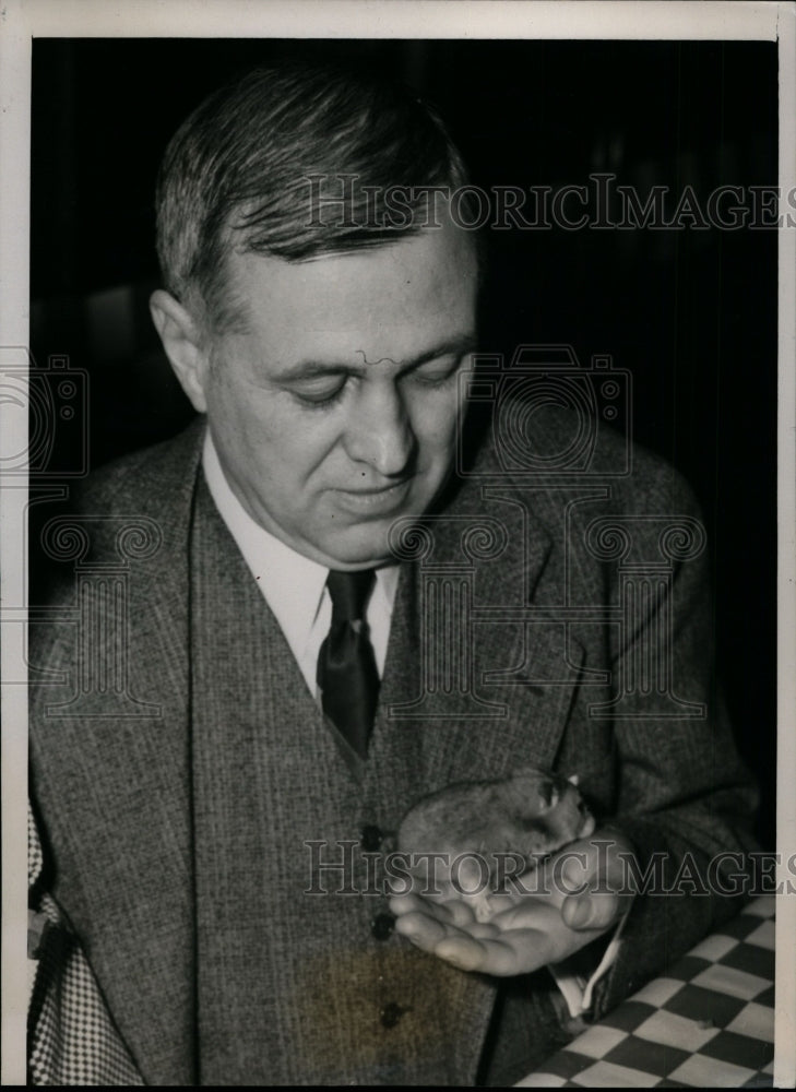 1940 Press Photo Dr. Edmund V. Cowdry Holding Hamster, St. Louis, Missouri