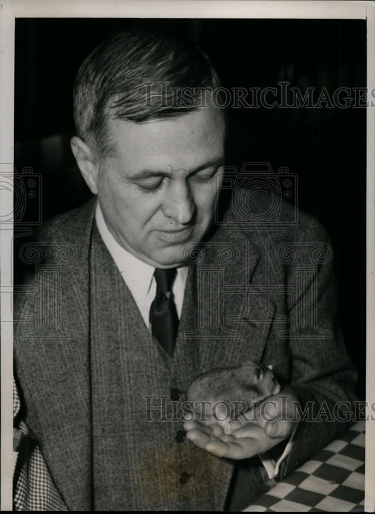 1940 Press Photo Dr. Edmund V. Cowdry Holding Hamster, St. Louis, Missouri