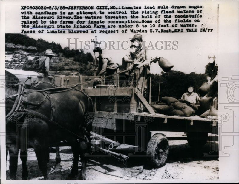 Load image into Gallery viewer, 1958 Press Photo Missouri State Prison Farm Inmates Work in Flood Preparation
