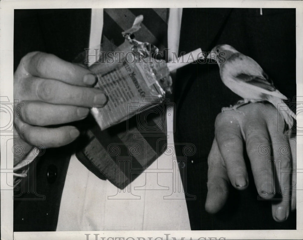 1941 Press Photo Clint Hager with Dopey the Smoking Canary, Atlanta, Georgia
