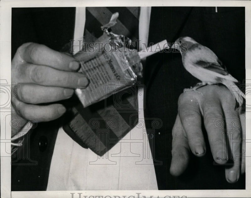 Load image into Gallery viewer, 1941 Press Photo Clint Hager with Dopey the Smoking Canary, Atlanta, Georgia
