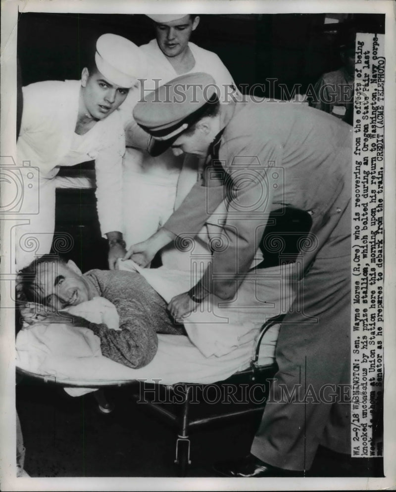 Load image into Gallery viewer, 1949 Press Photo Senator Wayne Morse Recovering from Kick by Horse, Washington
