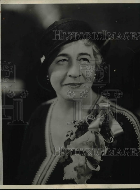 1933 Press Photo Ruth Bryan Owen - nef29281