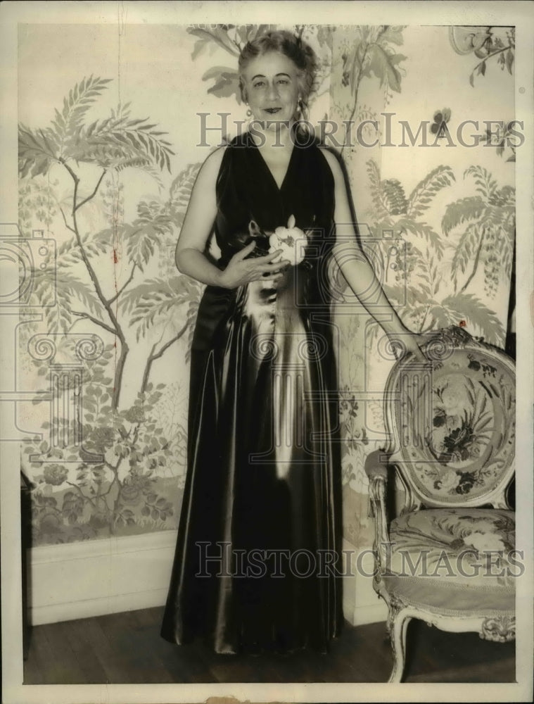 Load image into Gallery viewer, 1933 Press Photo Ruth Bryan Owen in Dress for Roosevelt Inaguration - nef29283
