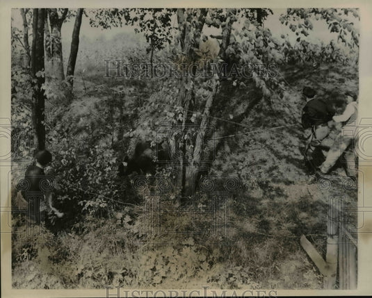 1940 Press Photo Two Indiana St. Troopers Tussle with Buffalo After Car Crash