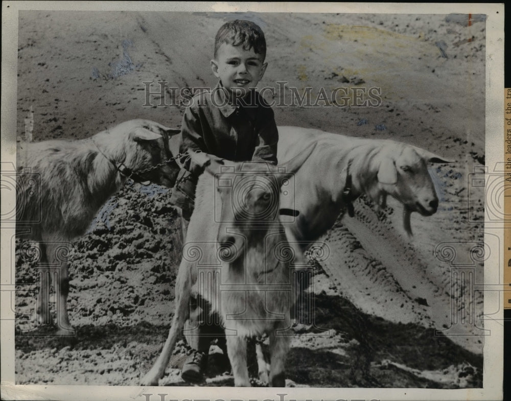 1946 Press Photo Boy David Elson Parker, Rents Goats to Mow Lawns - nef30977