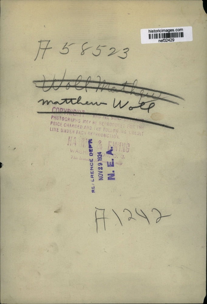 1924 Press Photo Matthew Woll - nef32429