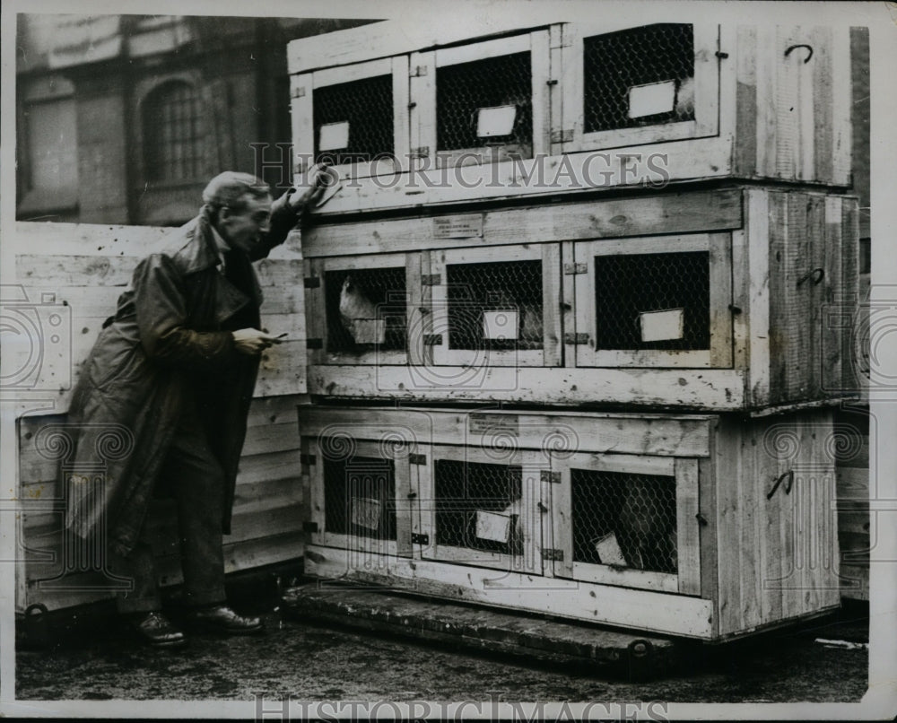 1922 Press Photo S.S. Corea Sails to France with Poultry Cargo - nef32882