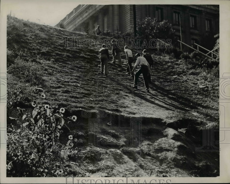 Load image into Gallery viewer, Press Photo Short Cut up Hillside Aside Steps to Mall - nef33241
